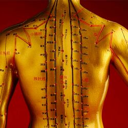 Андрей Апакин Исцеляющий самомассаж 2024