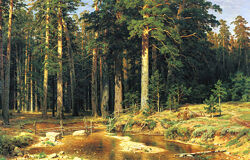 Ольга Базанова Гиперреализм