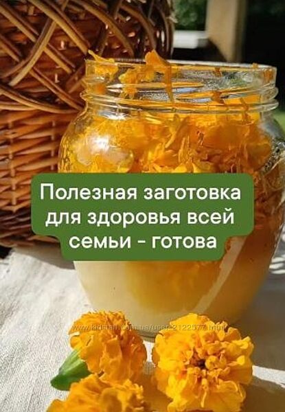 Разнотравье Медовые эликсиры 2024