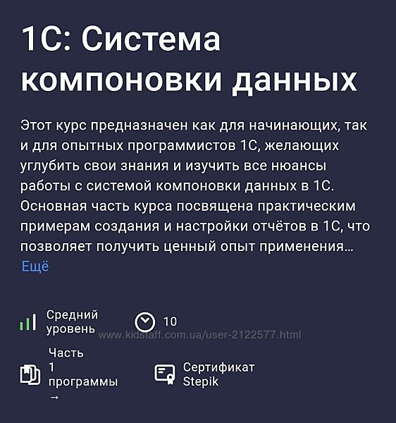 Василий Еремин Stepik 1С Система компоновки данных 2024