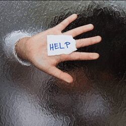 Елена Веселаго Жестокая семья 2024