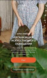 Наталья Серова Организация искусственного освещения 2022