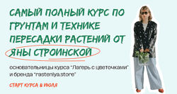 Яна Строинская  Мини-курс по пересадке растений 2024