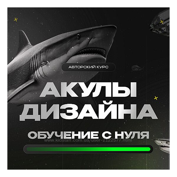 Лилия Асылханова Акулы дизайна Followandbloom Тариф С куратором 2024