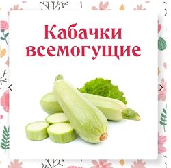 Кабачки всемогущие 2.0 Ольга Данчук, Елена Воронцова 2024