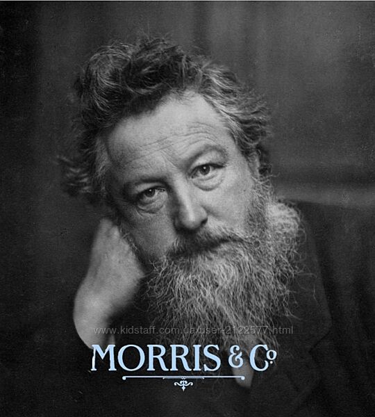 Татьяна Быковская Моррис и ко. Тариф Бакалавр Topcreator. school 2024