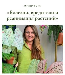Ксения Занина Болезни, вредители и реанимация растений 2024