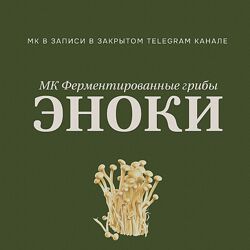 Мария Сочилкина Ферментированные грибы эноки 2024