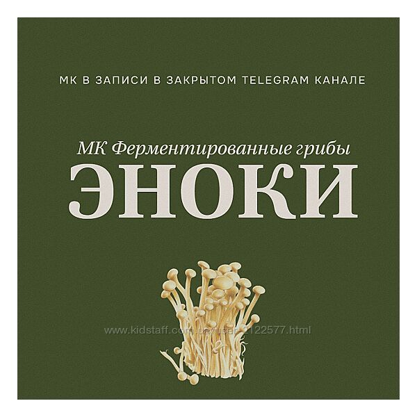 Мария Сочилкина Ферментированные грибы эноки 2024