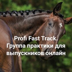 Елена Веселаго Profi Fast Track Травма и переплетение с чего начать работу