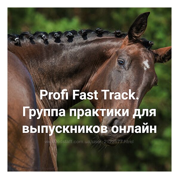 Елена Веселаго Profi Fast Track Травма и переплетение с чего начать работу