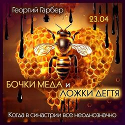 Георгий Гарбер Бочки меда и ложки дегтя. Когда в синастрии все неоднозначно