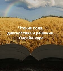 Елена Веселаго Чтение поля, диагностика и решения. Вся практика