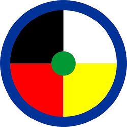 Елена Веселаго Годовой шаманский курс 1 - 3 модуль 2022