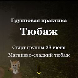 Алисья Янг Групповая практика Тюбаж. Магниево-сладкий тюбаж 2024
