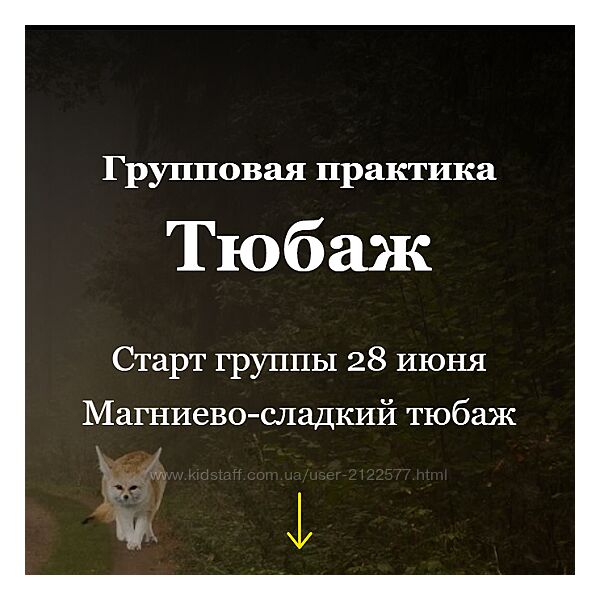Алисья Янг Групповая практика Тюбаж. Магниево-сладкий тюбаж 2024
