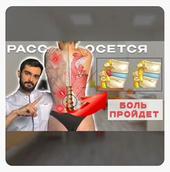 Андрей Павлов Фундамент здоровья 2024