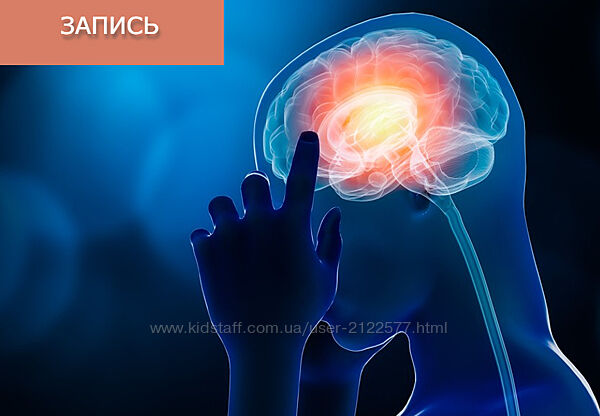 Сергей Зайцев Китайские средства для улучшения деятельности головного мозга