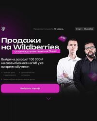 Максим Плугарь, Виталий Миранюк Продажи на Wildberries. Тариф Менеджер 2024