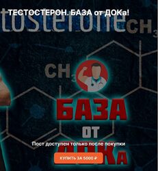 Андрей Егоров Тестостерон. База 2024