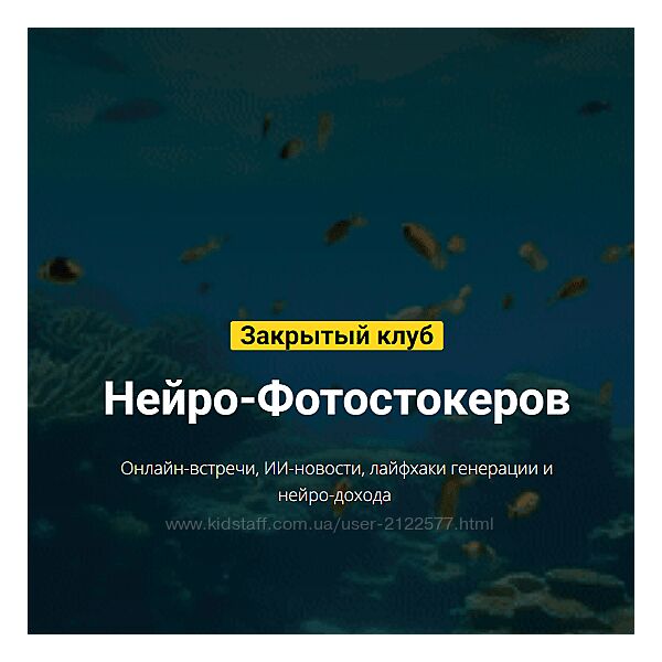 Вадим Закиров Закрытый клуб нейро-фотостокеров на Июль 2024