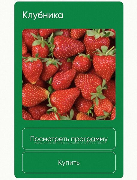 Анна Акинина  Клубника 2024