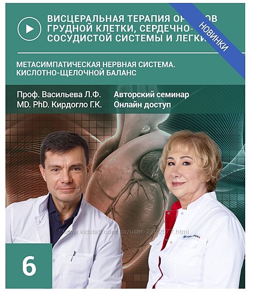 Людмила Васильева Глеб Кирдогло Семинар 6 Метасимпатическая нервная система