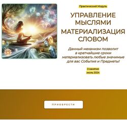 Эмилия Франк Управление мыслями. Материализация словом 2024