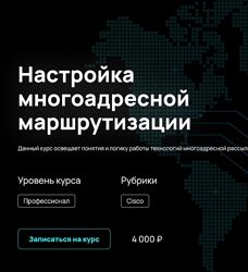 Алексей Гусев  Настройка многоадресной маршрутизации 2024