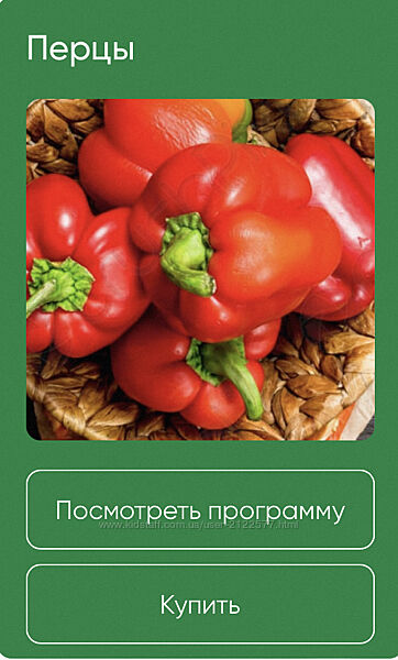 Анна Акинина  Перцы 2024