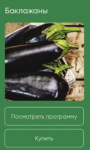 Анна Акинина  Баклажаны 2024