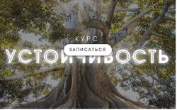 Александра Алексеева Устойчивость Тариф Базовый 2023