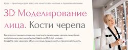 Инна Алферова 3D-моделирование лица. Кости черепа 7.0. Тариф Базовый