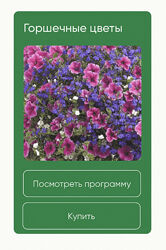 Анна Акинина  Горшечные цветы 2024