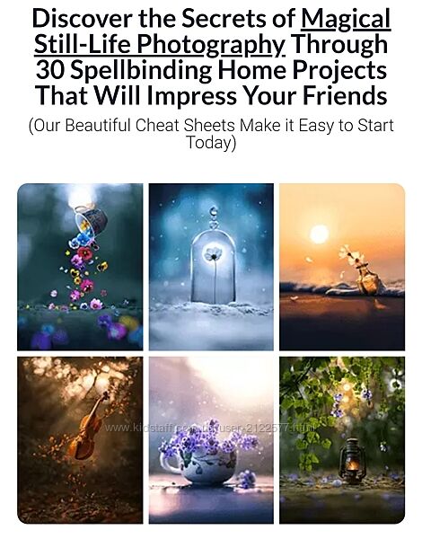 Ашрафул Арефин Книга заклинаний волшебной фотографии 2024