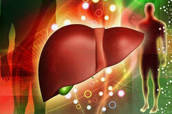 Наталья Хаустова Схема поддержки 2 фазы детокса печени с обновлениеми 2024