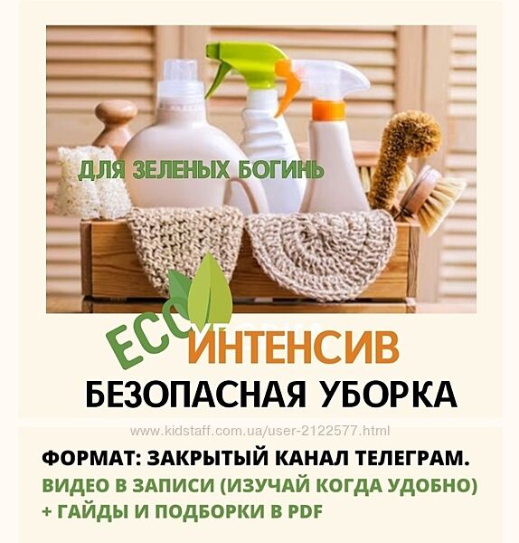 Екатерина Кудерцева Безопасная уборка 2024