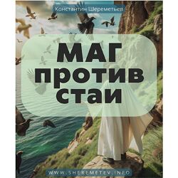 Константин Шереметьев Маг против стаи. Тариф Самостоятельный 2024
