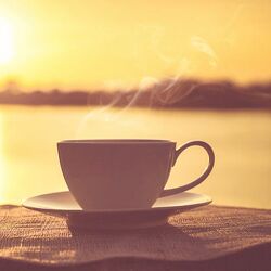 Екатерина Гарцева Эфир положь 2024