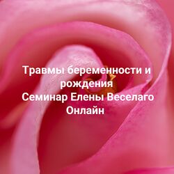Елена Веселаго Травмы беременности и рождения 2024