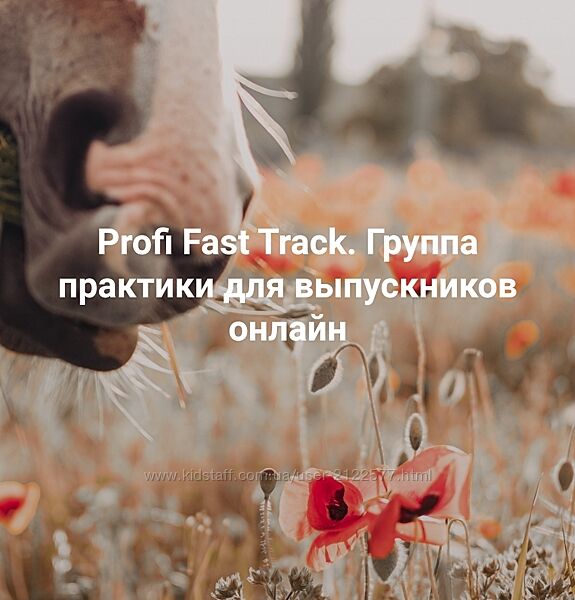 Елена Веселаго  Всё всегда плохо. Profi Fast Track 2024