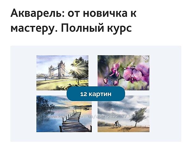 Дарья Митта  Акварель от новичка к мастеру. Полный курс 2024