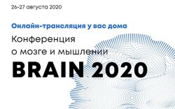 Университет Синегрия Brain 2020  Конференция о мозге и мышлении 