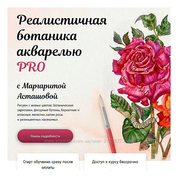 Маргарита Асташова Реалистичная ботаника акварелью PRO Тариф Рисую сам 2024