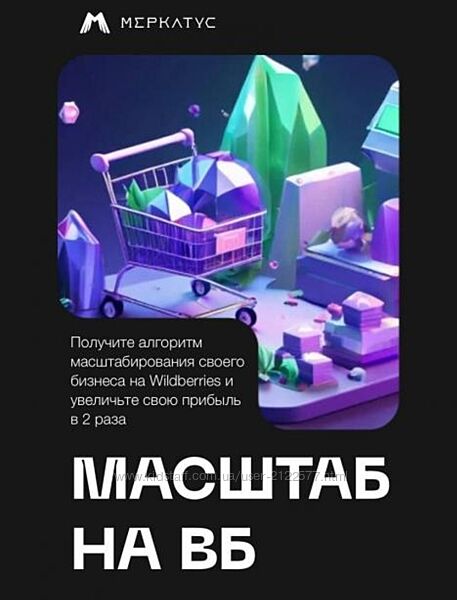 Лео Шевченко - Масштаб на ВБ. Тариф Топ на WB 2024