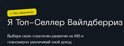 Я топ-селлер вайлдберриз. Тариф Я аналитик Лео Шевченко