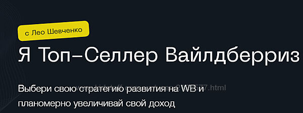 Я топ-селлер вайлдберриз. Тариф Я аналитик Лео Шевченко