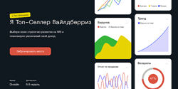 Я Топ-Селлер Вайлдбериз. Тариф Я супер селлер Лео Шевченко