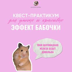 Ирина Выборнова Эффект бабочки 2024