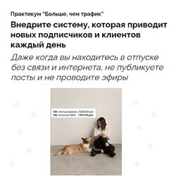 Евгения Васильева Больше, чем трафик 2024